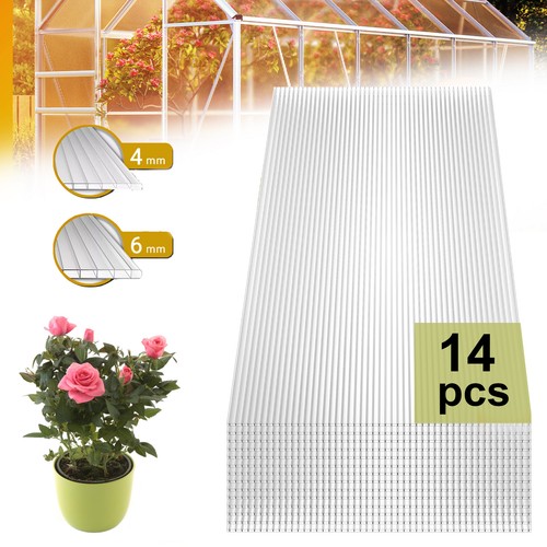 Pack clear polycarbonate - 14,