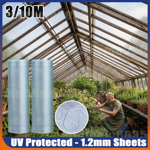 10m high impact - 10m, clear